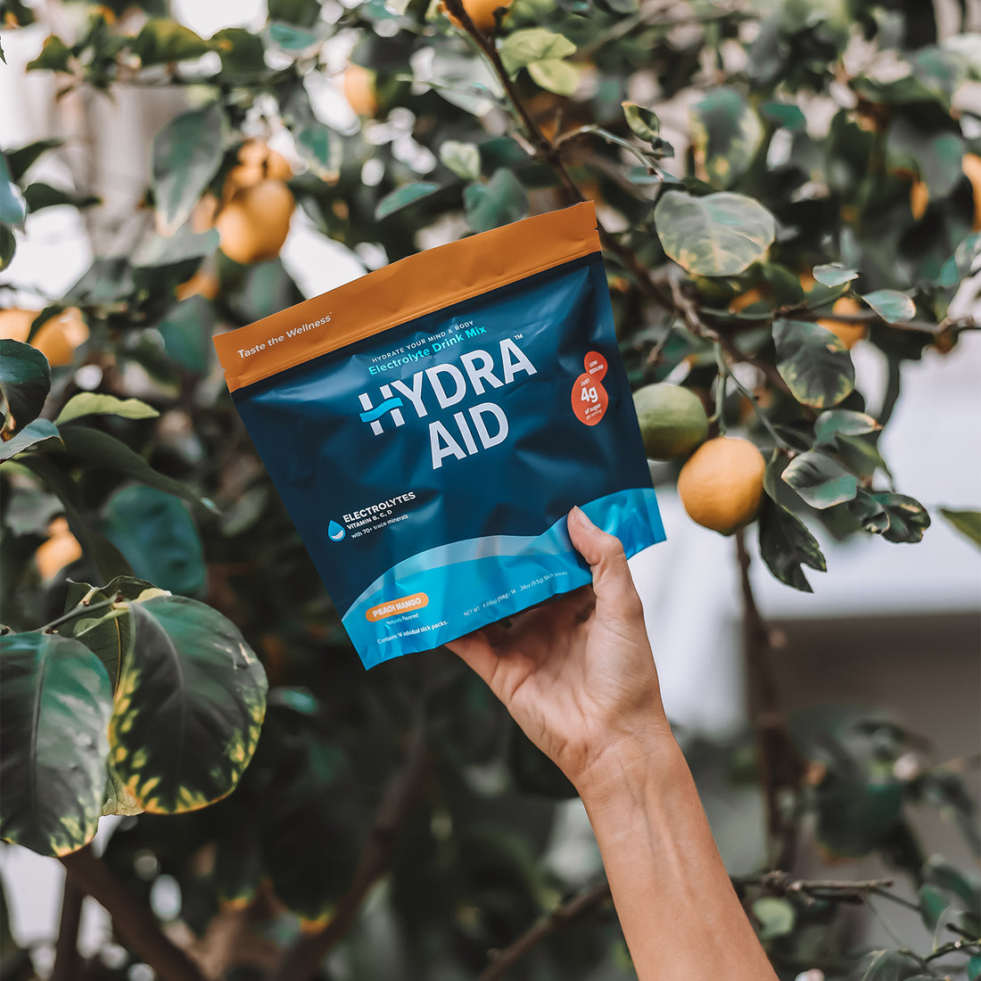 Hydra-Aid-Peach-Mango5-14pk-Hydration-Stick-Packs